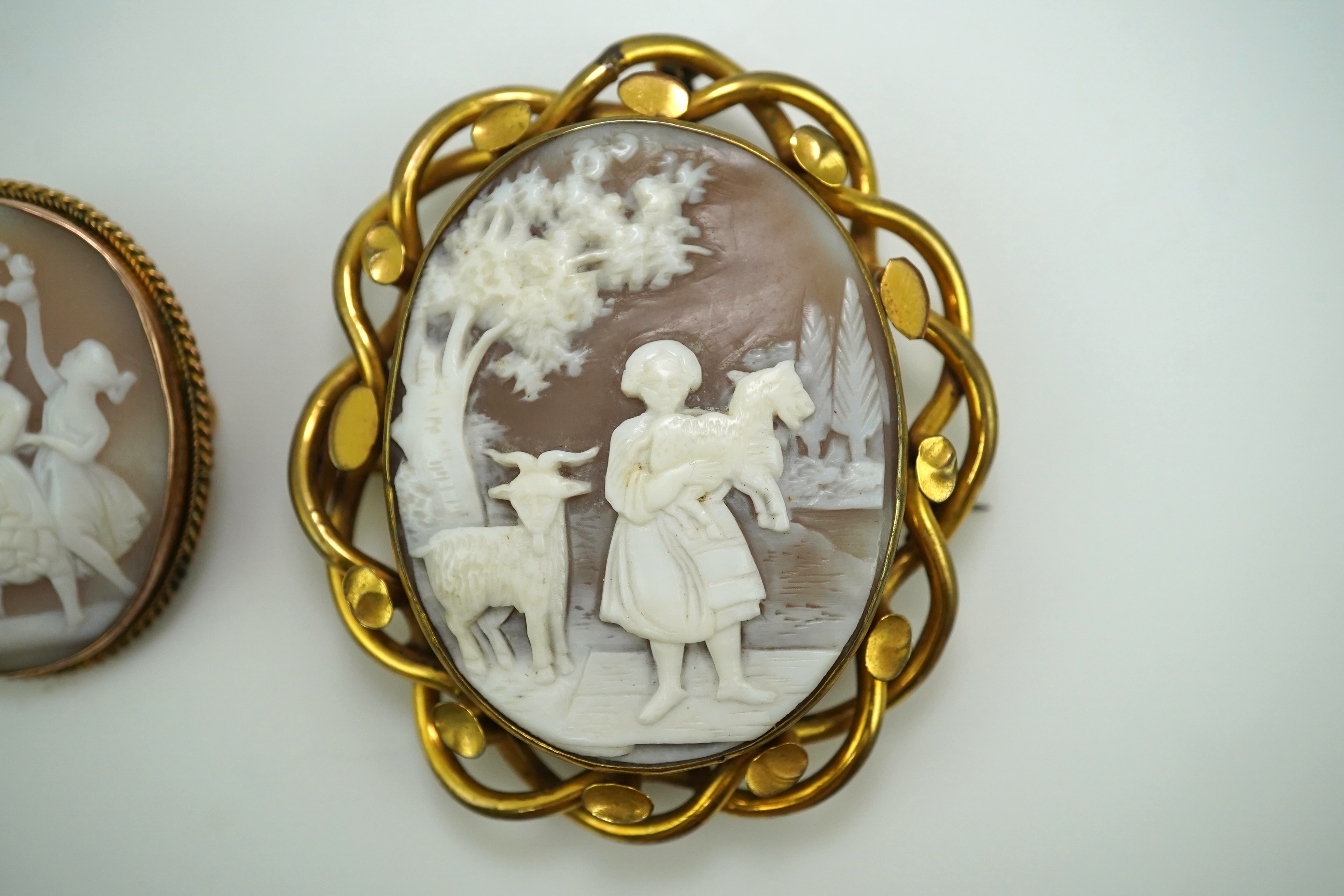 Three shell cameo brooches, 20th century